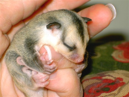 Photo of Aeryn